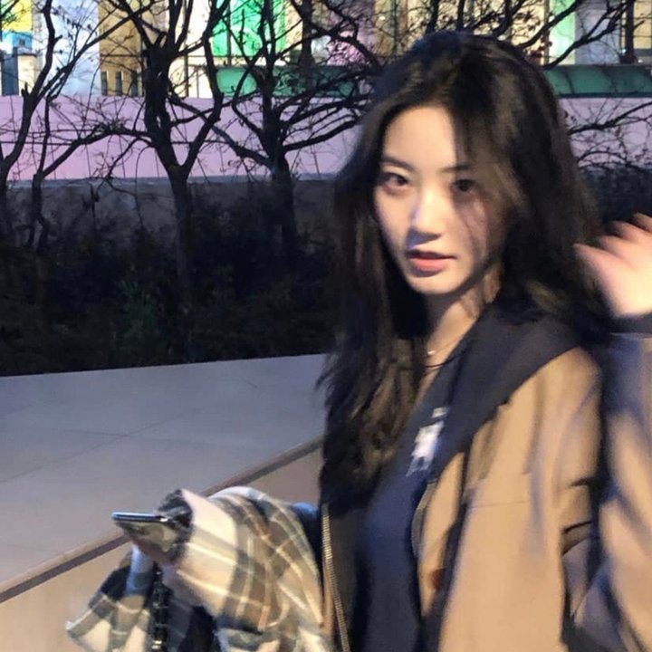 女孩的灵缇犬封面