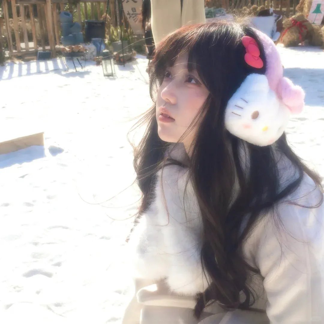 冒牌货封面
